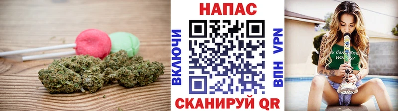Купить где  Йошкар-Ола  Cannafood конопля 