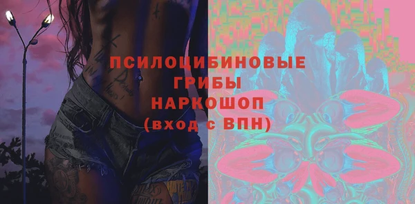 ПСИЛОЦИБИНОВЫЕ ГРИБЫ Зеленодольск