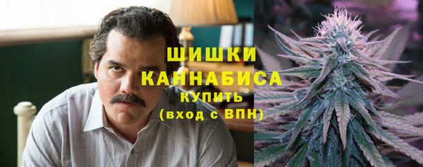 ПСИЛОЦИБИНОВЫЕ ГРИБЫ Зеленодольск