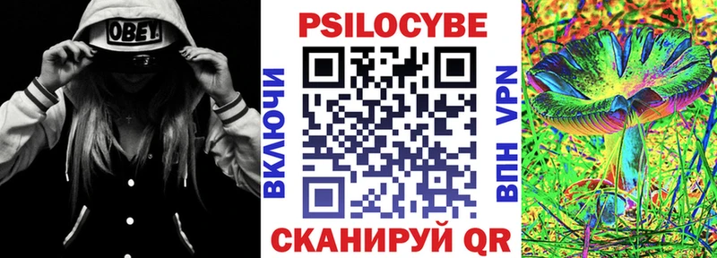 Купить закладки  Йошкар-Ола  Галлюциногенные грибы Cubensis 