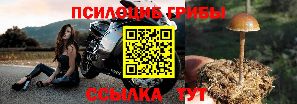 Псилоцибиновые грибы Cubensis  Вход с VPN  Йошкар-Ола  Галлюциногенные грибы Magic Shrooms 